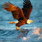 Larry Dunsworth - Facebook