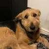 Laura Earp719 - @laura2222227 - TikTok