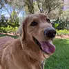 Laura Edney - @laura.edney1 - TikTok