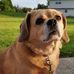 Laura Eggleston - Facebook