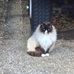 Laura Eichner - Facebook