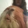 |@uR@ - @laura.seifertt - TikTok