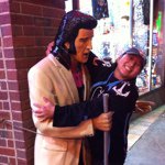 Laura Eischen - @caniac2006 - Instagram