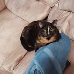 Laura Enright - @lauraenright64 - Instagram
