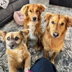 Laura Epperson - @atallgirl - Instagram