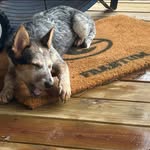 Laura Epperson Frantum - @lafratum - Instagram