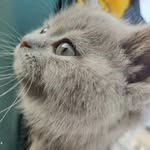 Laura G. Epperson - @kamati6110 - Instagram