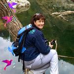Laurie Ettinger Volk - @ettingervolk - Instagram