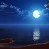 laurafallon401 - @laurafallon401 - TikTok