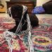 Laura Feeley - Facebook