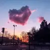 Laura Evelia Fleischer - @laura.evelia.flei - TikTok