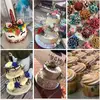 Laura Fleischer131 - @laupaucake - TikTok