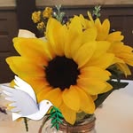 Laura Fleischer - @fleischer5685 - Instagram