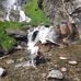 Laura Fleischer - Facebook