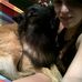 Laura &amp; Forest - Facebook
