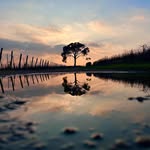 Laura Forest - @lalauforest - Instagram
