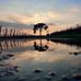 Laura Forest - Facebook
