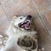 Laura Foresto - Facebook