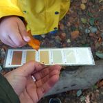 Laura Kidd Forest School Ideas and Inspiration - @laurakiddforestschool - Instagram
