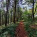 Laure Forest - Facebook