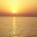 Laura Foti - @laura.foti.313 - Instagram