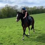 Laura Morley-Freer - @laura_morleyfreer - Instagram