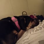 Laura Gabbard - @gabbard7095 - Instagram