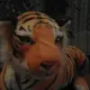 Laura  Gabor - @pushenlaura - TikTok