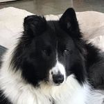 Laura Galbraith - @zaksuzychili - Instagram