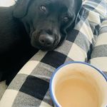 Laura Galbraith - @lg_tandk - Instagram