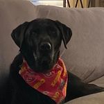 Laura Galbraith O'Donnell - @lodonnell - Instagram