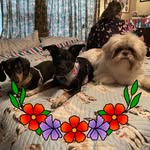 Laurie A. Barcomb-garlock - @lauriegarl - Instagram