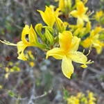 Laurie Garlock - @lgarlock - Instagram