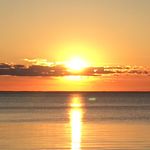 Laura Garrity - @lauragarrity4026 - Instagram