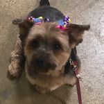 Laura Garrity - @lgarrity1973 - Instagram
