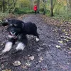 Laura Gatt - @wonderwade - TikTok