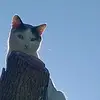@[e]tóxica _ff_ - @lauraptriciageist - TikTok