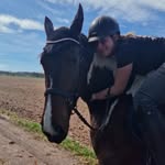 Reitpädagogik Laura Geist - @reitenmitlaura - Instagram