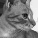 Lora Geiger - Facebook