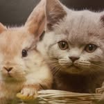 Laura Giese - @giese2139 - Instagram
