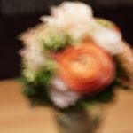 Laura Giese Camera In Motion - @camera_in_motion - Instagram