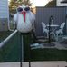 Laura Kilpatrick - Facebook