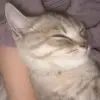 Laura Gimpel - @lauragimpel - TikTok