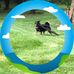 Laura Gish - Facebook