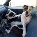 Laura Gish - Facebook