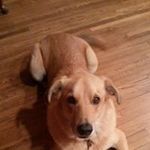Laura Goldstein - @laura.goldstein.710 - Instagram