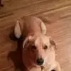 Laura Goldstein - @laura.goldstein3 - TikTok