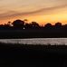 Laura Latour Goldstein - Facebook