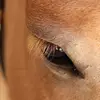 lauragoodpastor - @lauragoodpastor - TikTok