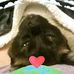 Lori Goodpaster - Facebook